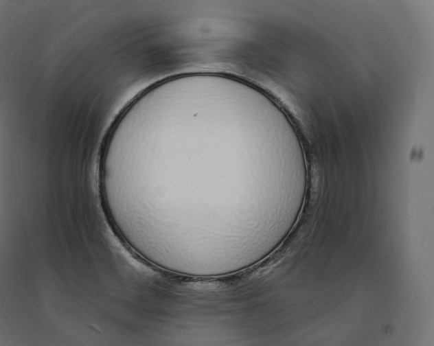 X0000094361468200711241926