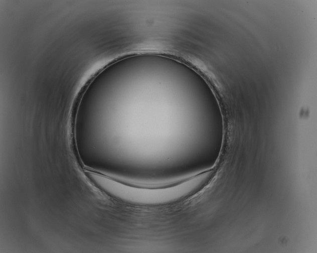 X0000094361469200711241926