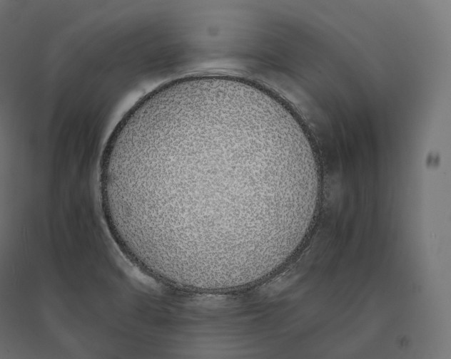 X0000094361470200711241926