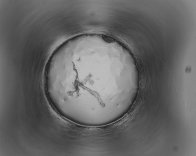 X0000094361471200711241926