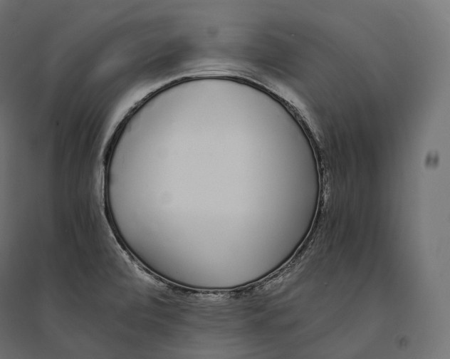 X0000094361472200711241926