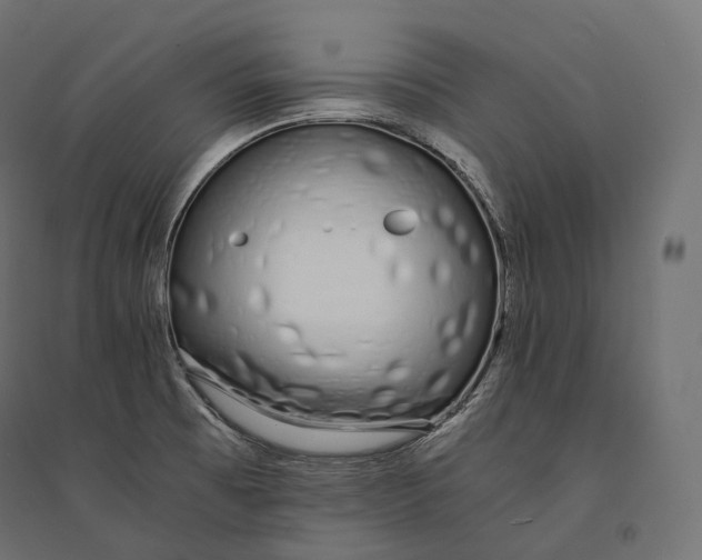 X0000094361473200711241926