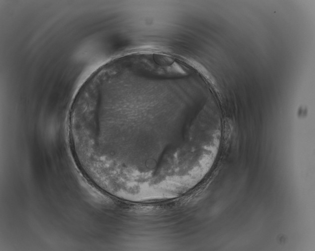 X0000094361474200711241926