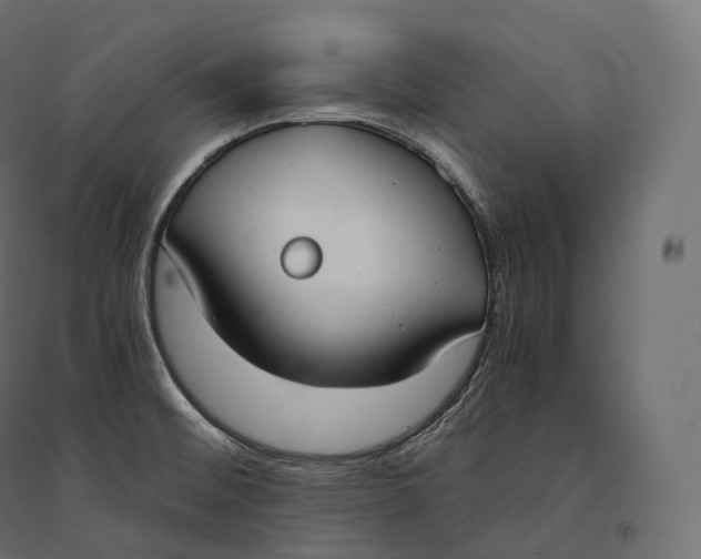 X0000094361476200711241926