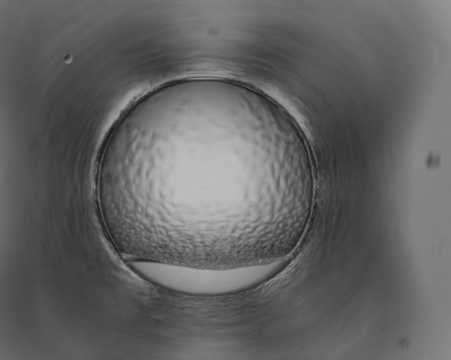 X0000094361477200711241926