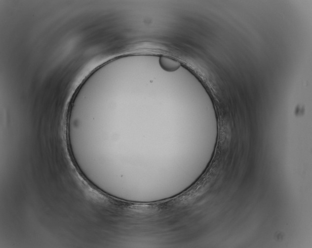 X0000094361478200711241926