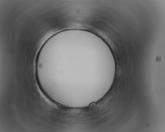 X0000094361479200711241926