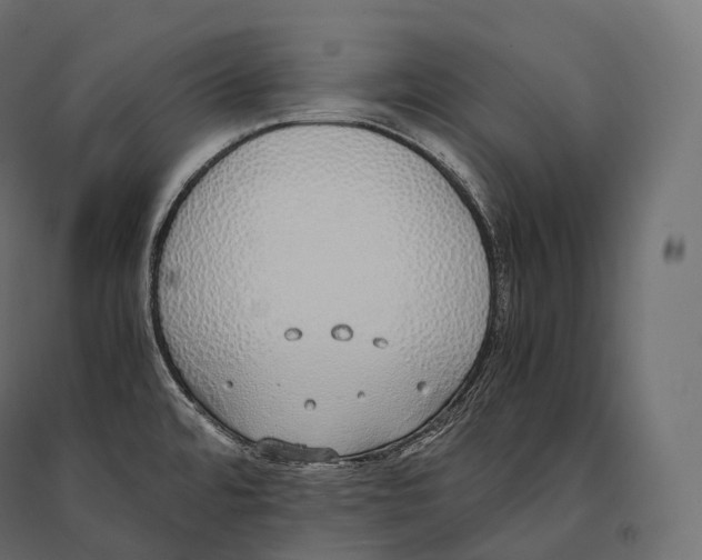 X0000094361480200711241926