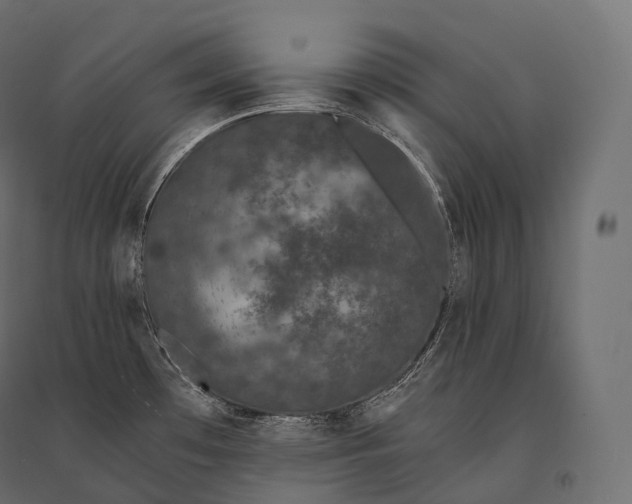 X0000094361481200711241926