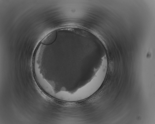 X0000094361482200711241926