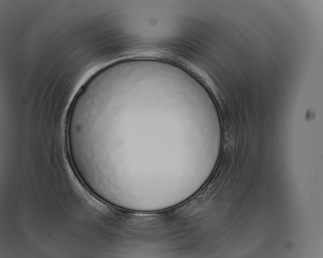 X0000094361483200711241926