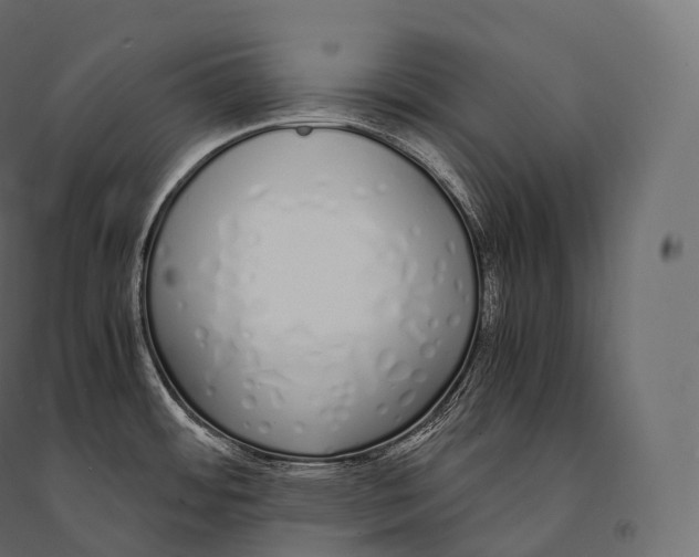 X0000094361484200711241926