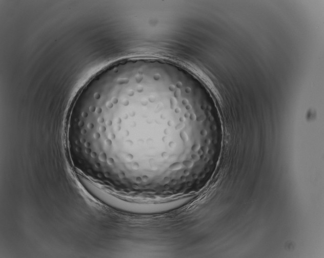 X0000094361485200711241926