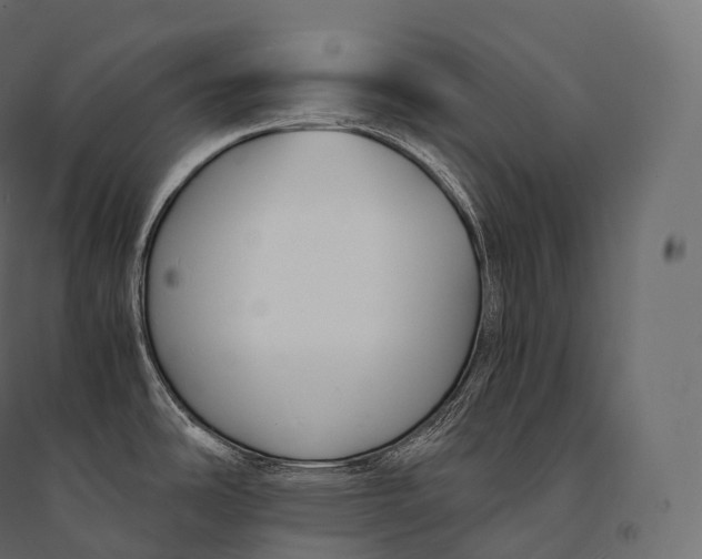 X0000094361486200711241926