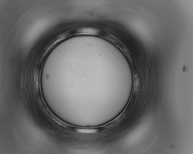 X0000094361487200711241926