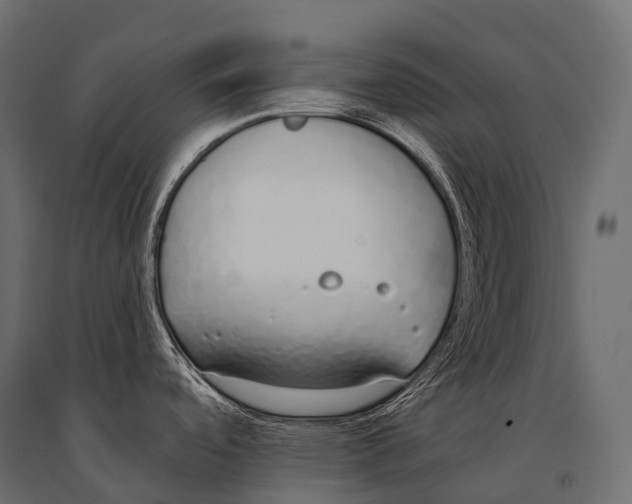 X0000094361488200711241926