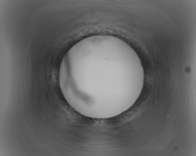 X0000094361490200711241925