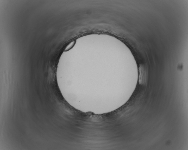 X0000094361491200711241925