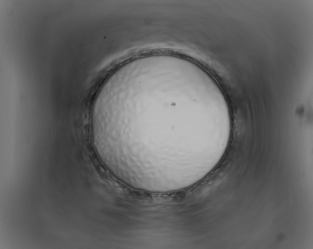 X0000094361494200711241925