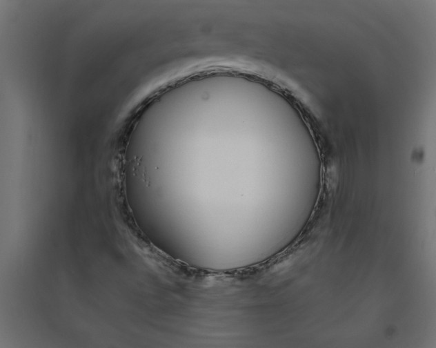 X0000094361496200711241925