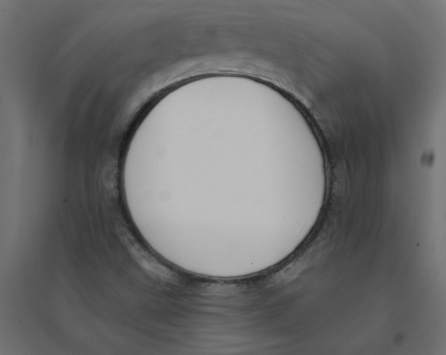 X0000094361499200711241926