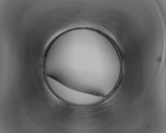 X0000094361500200711241926