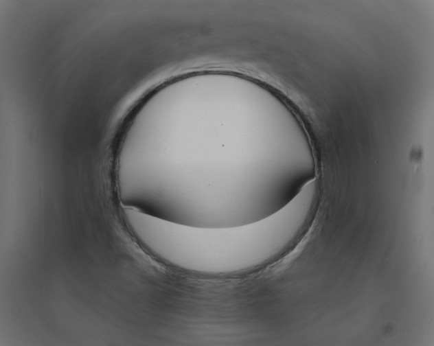 X0000094361502200711241926