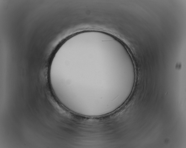 X0000094361503200711241926