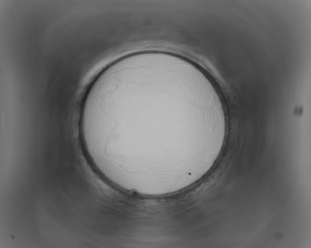 X0000094361504200711241926