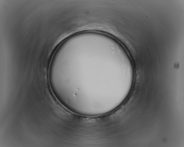 X0000094361505200711241926