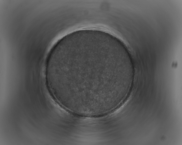 X0000094361506200711241926