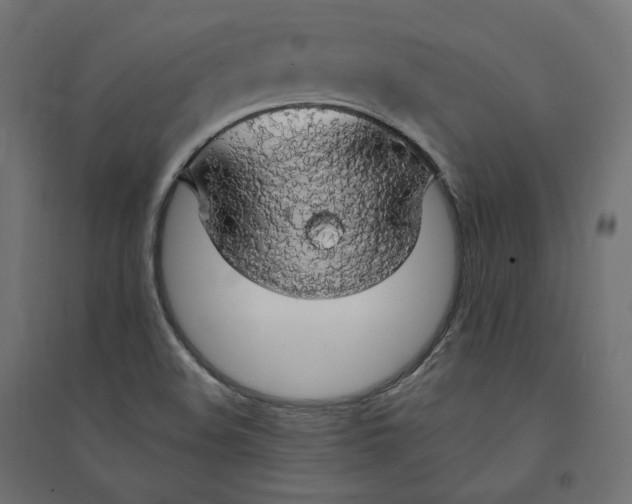 X0000094361508200711241926