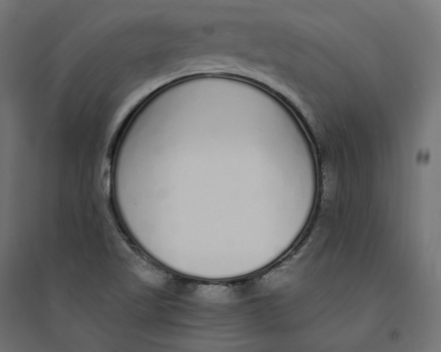 X0000094361509200711241926