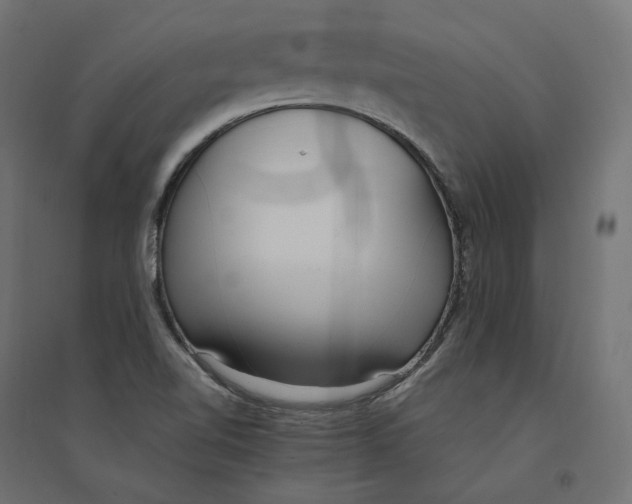 X0000094361510200711241926