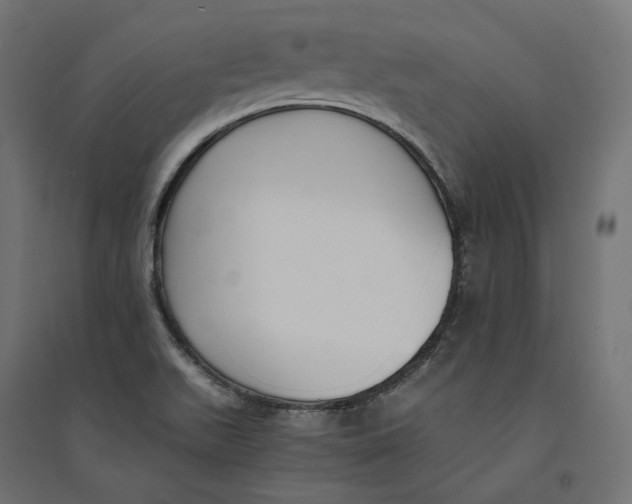 X0000094361511200711241926