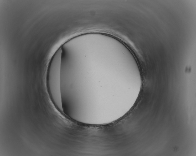 X0000094361512200711241926