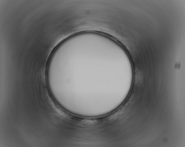 X0000094361513200711241926