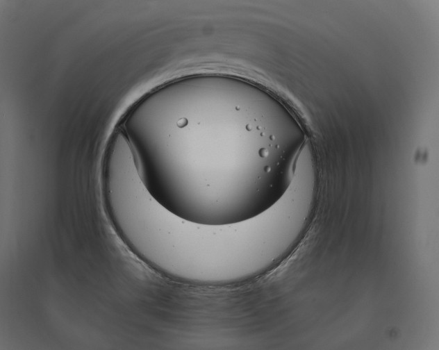 X0000094361514200711241926