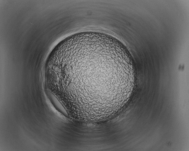 X0000094361515200711241926