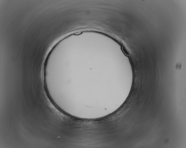 X0000094361516200711241926