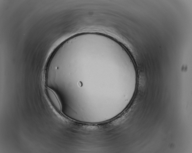 X0000094361517200711241926