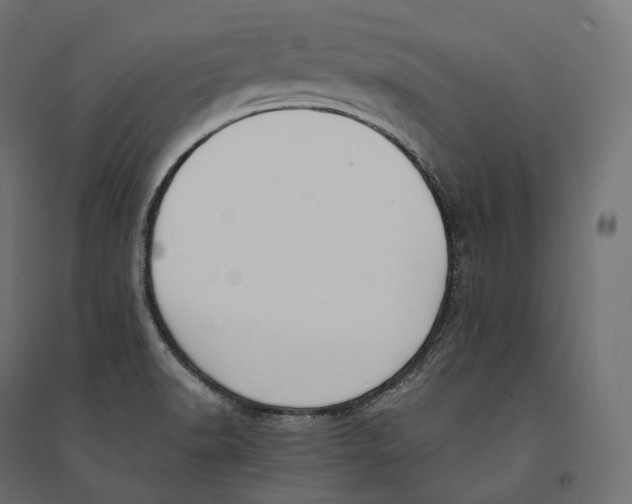 X0000094361518200711241926