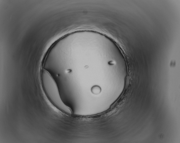 X0000094361519200711241926