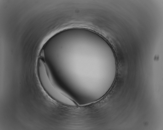 X0000094361520200711241926