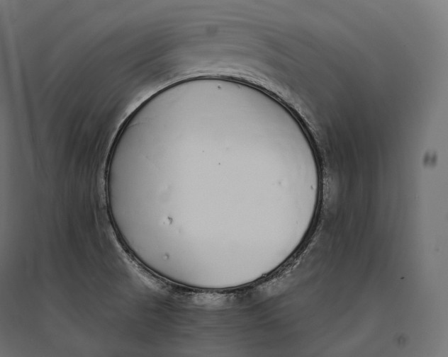 X0000094361521200711241926