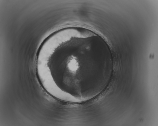 X0000094361522200711241926