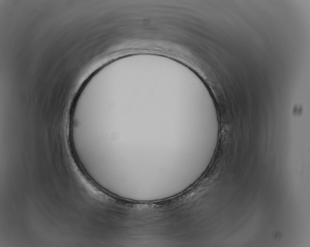 X0000094361523200711241926