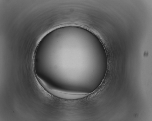 X0000094361524200711241926