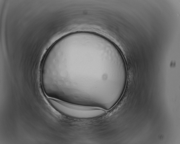 X0000094361525200711241926