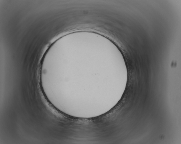 X0000094361526200711241926